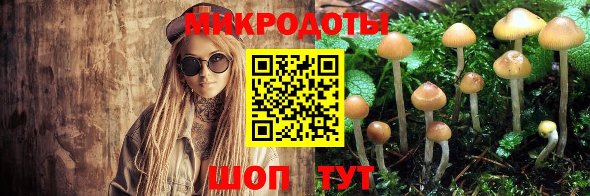 Кострома  Галлюциногенные грибы Cubensis  Вход с VPN 