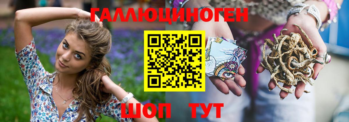 Псилоцибиновые грибы Psilocybine cubensis Кострома